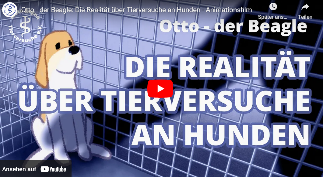 Film 'Otto - der Beagle' auf Youtube ansehen